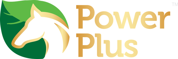 Ayurvedic PowerPlus