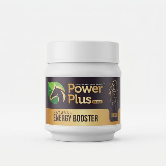 Power Plus Natural Energy Booster Lehyam (100g)